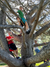 2025 Outdoor Parkour Summer Camp